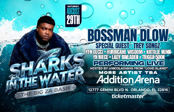 More Info for BOSSMAN DLOW 