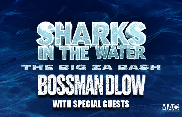 More Info for Sharks in the Water 