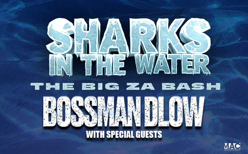 Sharks in the Water